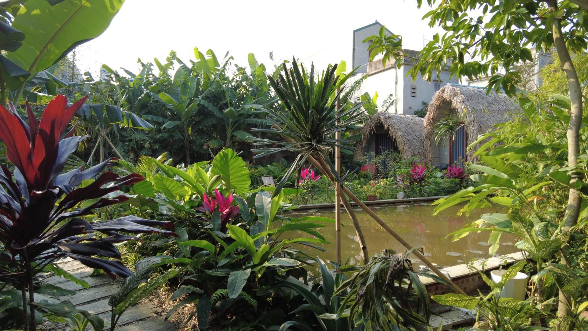 Apartamento Amy House Ninh Binh Exterior foto